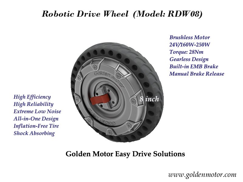 Hub motor Golden Motor